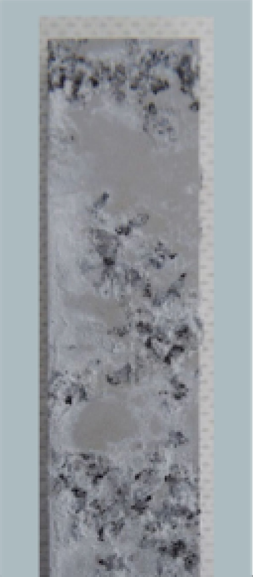 G2Mag - 164 小时